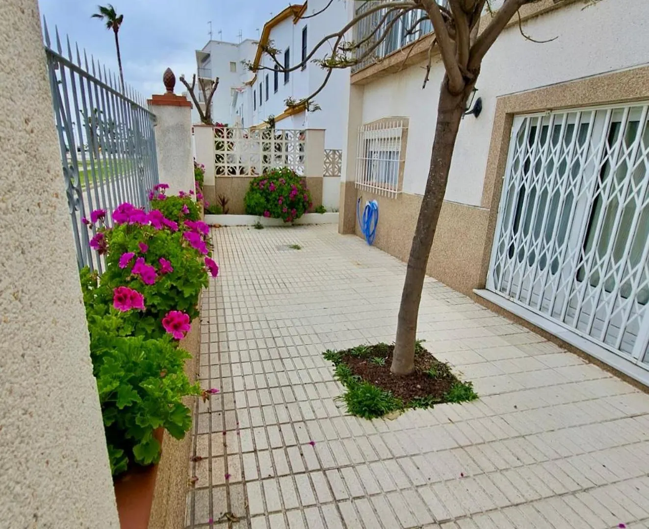 Villa Rosa En Primera Linea De Playa Conil De La Frontera